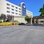Hilton