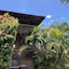 Maui What A Wonderful World B And B Hawaii