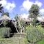 Astawa House