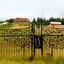 Youngberg Hill