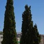 The Artist Athens