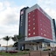 Ibis Tatuí