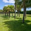 Natura Resort