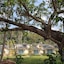 Krabi Home Resort