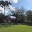 Lone Star