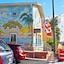 Hollywood Beach Seagull