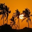 Reef & Beach Resort