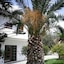 Mastorakis Hotel And Studios