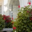 Villa Magalean Hotel & Spa