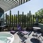 Pug Seal Polanco Anatole France