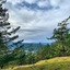 Otters Pond Bed & Breakfast