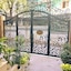 Tropical House
