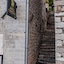 Boutique Hotel Capitano