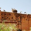 Hotel Riad Carina