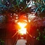 Zanzibar Sunrise At Bandas