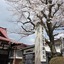 Temple Hotel Takayama Zenkoji