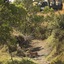 Naserian Mara Camp