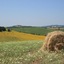 Podere Maremma Spa & Ristorante