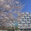 Sokcho Marina Bay Hotel