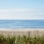 Marram