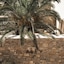Asty Mykonos Hotel & Spa -World Of One Hotel Group