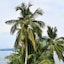 AngelNido Resort