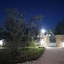 Tenuta San Lorenzo