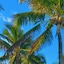 Suites Sol E Mar