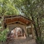 Fig Tree Camp - Maasai Mara