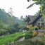 Keuma Villa & Resto Jatiluwih by The Lavana