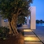 Monogram Travel Antiparos