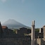 Pico Vineyards
