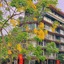 22Land Moon West Lake