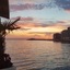 Ventus Harbor Hotel