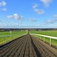 Newmarket