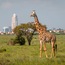 Nairobi