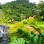 Pereira