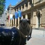 Stock Exchange