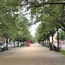 Strasse Unter Den Linden